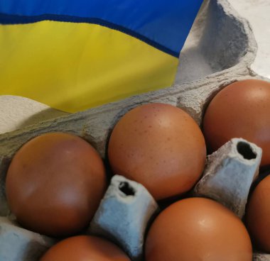 Ukrayna bayrağının arka planında karton bir kutuda fabrika yumurtaları