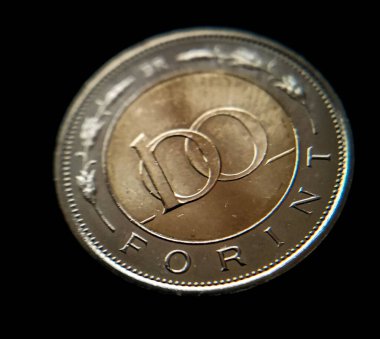 100 forint değerinde Macar forintinin metal parası.