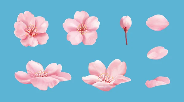 薄青を基調としたピンクの桜の要素 蕾を含む ストックイラスト