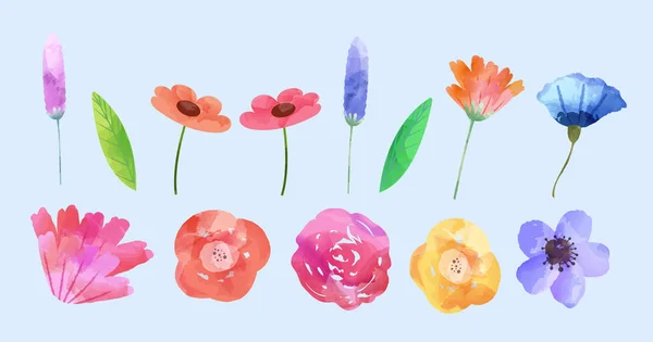 Akvarell Blomma Som Isolerad Ljusblå Bakgrund Lämplig För Mors Dag — Stock vektor