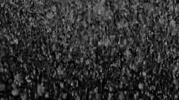 Záběry Sněhu Průhledném Pozadí Model Sněhové Bouře — Stock video