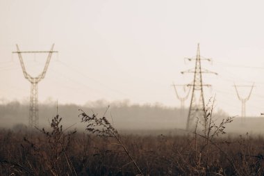 Power lines in the middle of field with fog during day. energy crisis