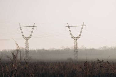 Power lines in the middle of field with fog during day. energy crisis