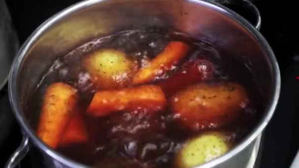 Water Boils Steel Pot Vegetables Boiled Salad — Stok video