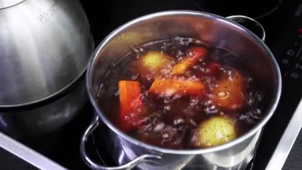 Water Boils Steel Pot Vegetables Boiled Salad — Stok video
