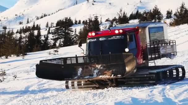 Oekraïne Dragobrat Morgen Bergen Ratrak Ruimt Sneeuw Van Snowboardbaan — Stockvideo