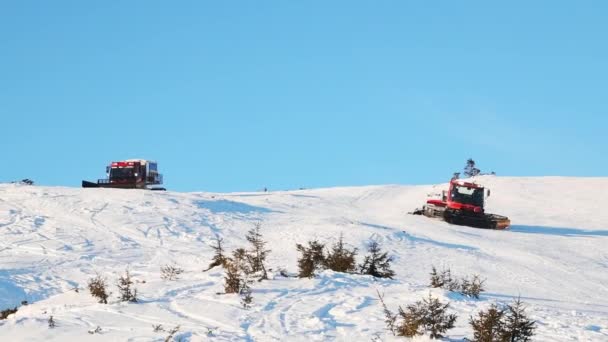Ukraine Dragobrat Morning Mountains Ratrak Clears Snow Snowboarding Track — ストック動画