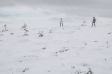 01.12.23 Ukraine, Dragobrat People go snowboarding and skiing from snowy mountains. Snow boarding in winter