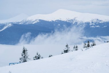 Dragobrat, Ukraine mountain landscape with fog and fir trees