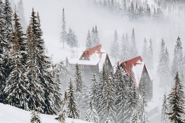 Драгобрат, горный ландшафт Украины с туманами и огненными деревьями