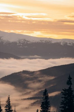 Dragobrat, Ukraine mountain landscape with fog and fir trees. Dawn in a snowy ski resort