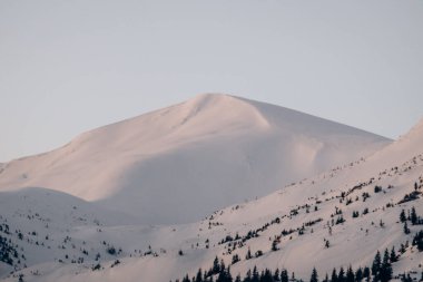Dragobrat, Ukraine mountain landscape with fog and fir trees. Dawn in a snowy ski resort