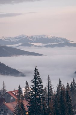 Dragobrat, Ukraine mountain landscape with fog and fir trees. Dawn in a snowy ski resort