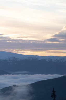 Dragobrat, Ukraine mountain landscape with fog and fir trees. Dawn in a snowy ski resort