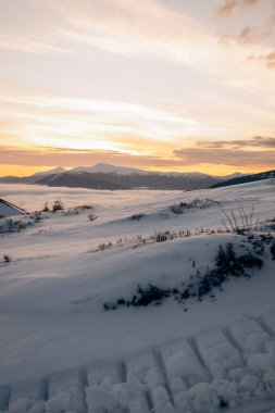 Dragobrat, Ukraine mountain landscape with fog and fir trees. Dawn in a snowy ski resort