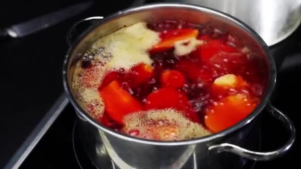 在电炉上的平底锅里烧开水 铁锅里的烧红的甜菜 — 图库视频影像