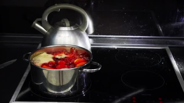 Boiling Water Saucepan Electric Stove Boiled Red Beetroot Iron Pan — Stok video