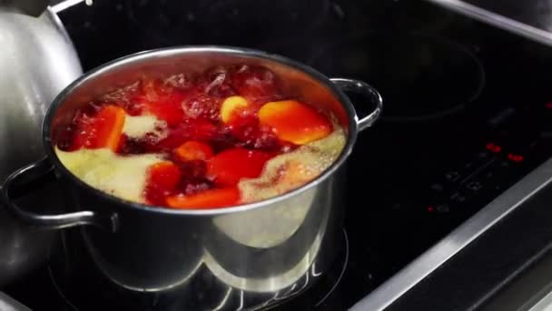 電気ストーブの上で鍋に水を沸かす 鉄鍋で煮込んだ赤いビートの根 — ストック動画