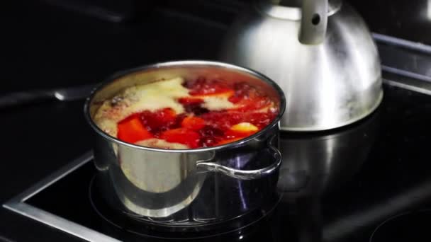 Boiling Water Saucepan Electric Stove Boiled Red Beetroot Iron Pan — Stok video