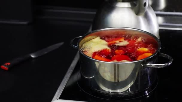 Boiling Water Saucepan Electric Stove Boiled Red Beetroot Iron Pan — Stockvideo