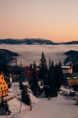 Koruyucu tıbbi maskeli beyaz-siyah kedi güneşlenerek oturur.