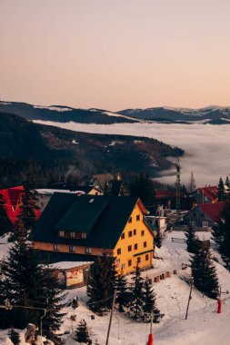 Koruyucu tıbbi maskeli beyaz-siyah kedi güneşlenerek oturur.