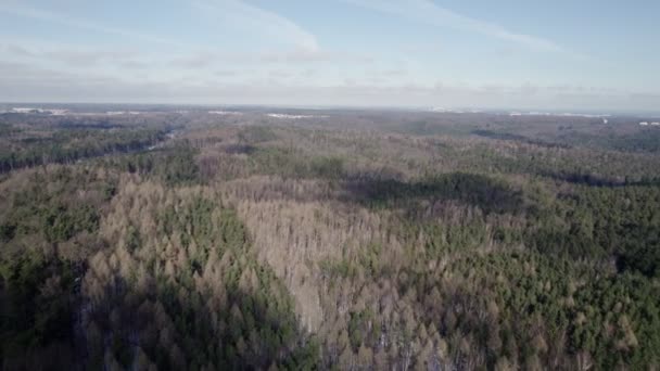 Widok Góry Drona Krakowska Panorama Strzelanie Dronami Krajobrazie Nie Nic — Wideo stockowe