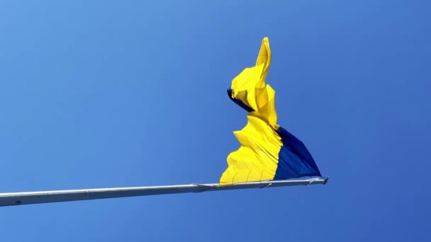 晴れた日にはウクライナの大きな青黄色の旗が青空に対して風に揺れる 垂直ビデオ — ストック動画