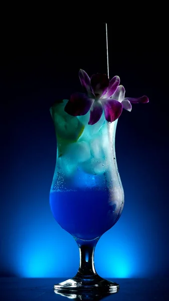 Refrescantes Cócteles Colores Están Bar Club Vida Alcohol —  Fotos de Stock