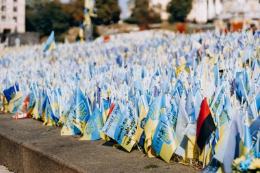 Ukrayna Meydanı 'nda sarı ve mavi bayraklar