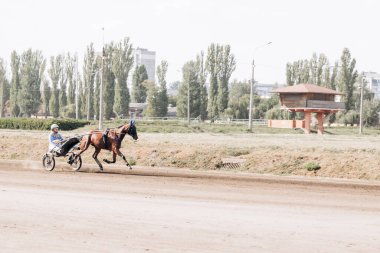 Hipodromda at yarışı. At ve binici yarışa katılıyor.