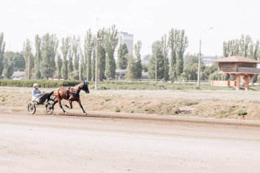 Hipodromda at yarışı. At ve binici yarışa katılıyor.