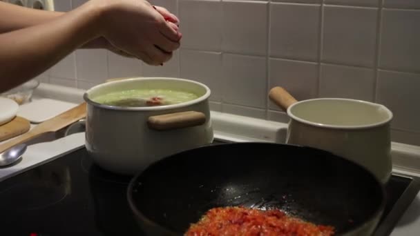 Borscht Poured Plates Ukrainian Traditional Cuisine — Stock Video