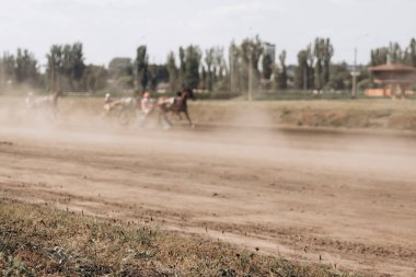 Hipodromda at yarışı. At ve binici yarışa katılıyor.