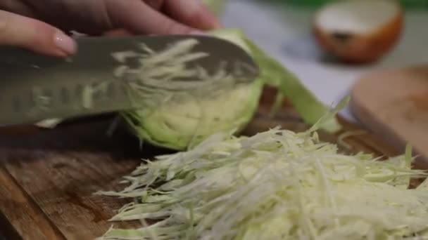 Borschtul Este Turnat Plăci Bucătăria Tradițională Ucraineană — Videoclip de stoc