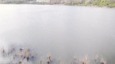 Yaz tatili, adam su motosikleti sürüyor ve akrobatik hareketler yapıyor.