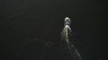 Yaz tatili, adam su motosikleti sürüyor ve akrobatik hareketler yapıyor.