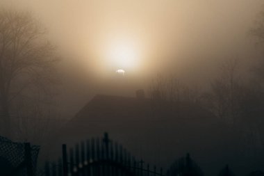 Şafak vakti kırsalda puslu bir sabah