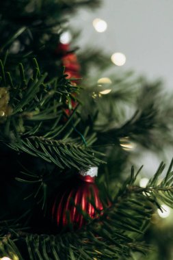 Yeşil Noel ağacı oyuncaklar ve çelenklerle süslenir. Yılbaşı için çam ağacı