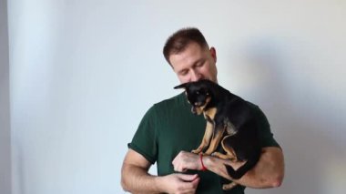 Erkeksi adam kucağında küçük bir Chihuahua köpeği tutuyor. Efendi ve evcil hayvan