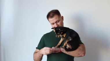 Erkeksi adam kucağında küçük bir Chihuahua köpeği tutuyor. Efendi ve evcil hayvan