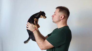 Erkeksi adam kucağında küçük bir Chihuahua köpeği tutuyor. Efendi ve evcil hayvan