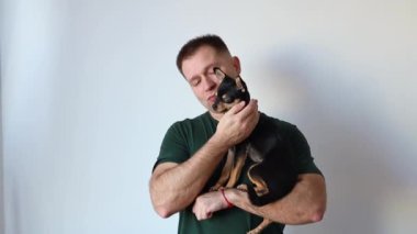 Erkeksi adam kucağında küçük bir Chihuahua köpeği tutuyor. Efendi ve evcil hayvan