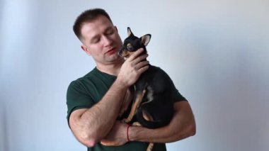 Erkeksi adam kucağında küçük bir Chihuahua köpeği tutuyor. Efendi ve evcil hayvan