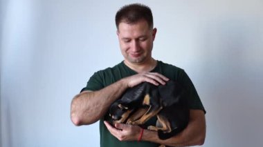 Erkeksi adam kucağında küçük bir Chihuahua köpeği tutuyor. Efendi ve evcil hayvan