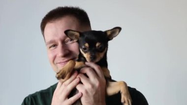 Erkeksi adam kucağında küçük bir Chihuahua köpeği tutuyor. Efendi ve evcil hayvan