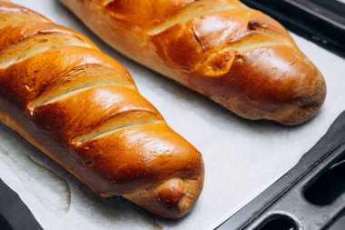 Altın hamurlu taze kavrulmuş ekmek. Ev yapımı.