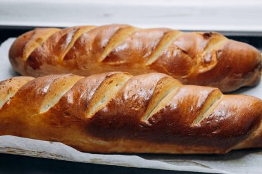 Altın hamurlu taze kavrulmuş ekmek. Ev yapımı.