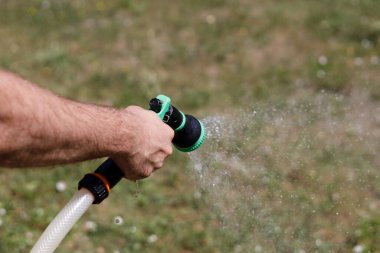 Adamın eli hortumu tutuyor ve bahçeye su serpiyor.
