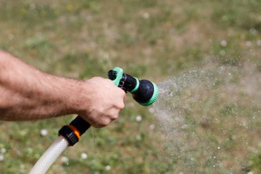 Adamın eli hortumu tutuyor ve bahçeye su serpiyor.